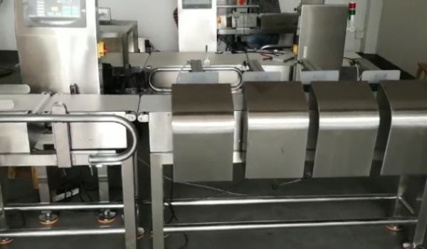 雞爪4級(jí)重量分選機(jī)測(cè)試視頻